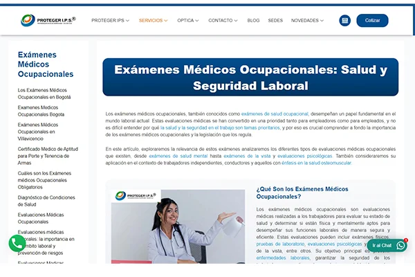 articulo seo proteger ips